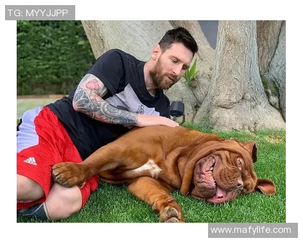 足球明星与爱犬的温馨时刻揭秘买狗视频背后的故事与情感交流